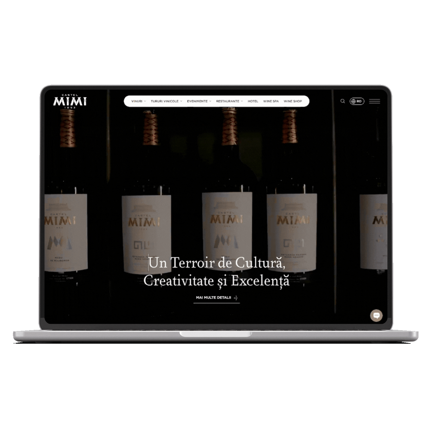 Site web realizat de LayoutStudio pentru un client din Moldova